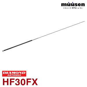 �_���Ԍ���I�S�i�|�C���g�A�b�v�^ ���d�g�H�� �_�C�������h HF30FX 10MHz�уR���p�N�g���\�����[�r���A���e�i �����@