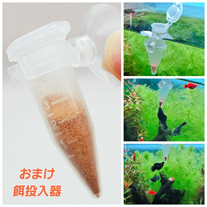 楽天市場】最高級 殻なし ブラインシュリンプ 25g 餌投入器おまけ付き 