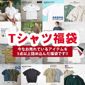 福袋 メンズ tシャツ 夏 2025 メンズファッション メンズ福袋 福袋メンズ ファッション 洋服 服 アパレル ブランド コーディネート トップス 破格 安い 人気 S M L LL XL 送料無料 数量限定 コーディネート コーディネートセット ふくぶくろ セール MENS 福袋BOX 秋 秋服