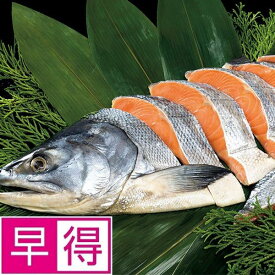 【夏ギフト早得】北海道ぎょれん熟成新巻鮭　三段仕込み製法（甘塩味）