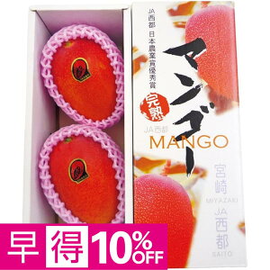 マンゴー 2個の人気商品・通販・価格比較 - 価格.com
