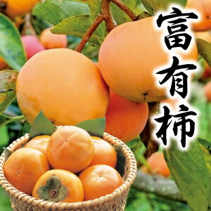 y`MtgzJAȂ炯xL`3LTCY22