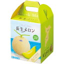 【夏の贈りもの】千葉県産（JA長生） マスクメロン（アールスメロン）