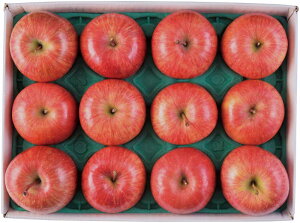 y~̑́zJAOO Tӂ񂲁iW[j