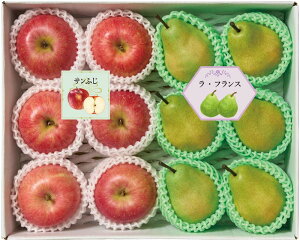 y~̑́zR_ R`Y 񂲁tXl