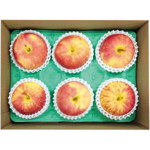 y~̑́zXYtƂ炸Tӂ񂲁i5`61D7kgȏj