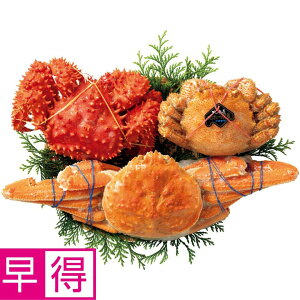 y~̑̑zLNC`t[YkCY 3̂ɐHׁׂi{CтɁEԍ炪ɁE킢Ɋe1j