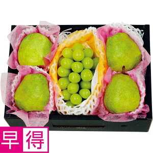 y~̑̑zR`YVC}XJbgƃEtXliVC}XJbg1[AEtX4`5j