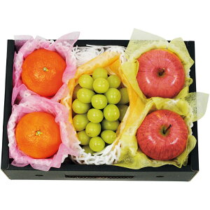 y~̑́zR`YEVC}XJbgETӂ񂲂ƈQYEg܂ǂȋl