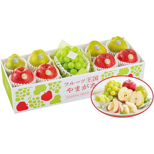 y~̑́zR`Yt[c܂@ʎ̋l