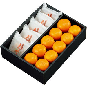 y~̑́za̎RYۊ`i嗱jƗLc݂