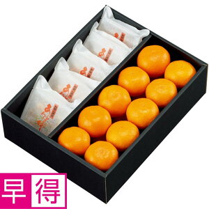 y~̑̑za̎RYۊ`i嗱jƗLc݂