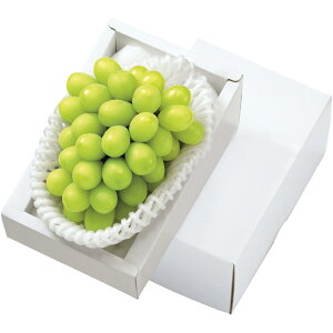 y~̑́zRYVC}XJbg [1[i700gȏj