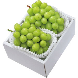 y~̑́zRYVC}XJbg 2[v1D1kgȏ