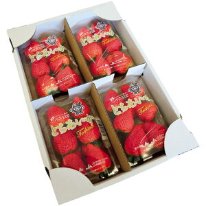 y~̑́zȖ،YiJA܁jƂ M[pbN4pbNi1pbN260gȏj