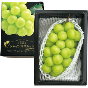 y~̑́zR`Y嗱VC}XJbg GiA1[i600gȏj