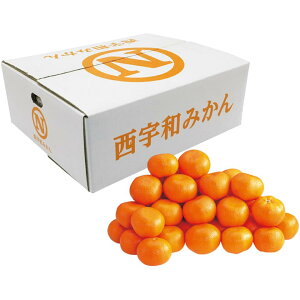 y~̑́zQYiJAɂ݂Ȃ̋Ij݂ GiA2SSTCYAv5kgȏ