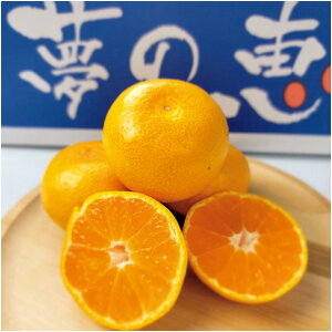 �y�~�̑�����́z�F�{���Y�������݂���@���̌b�@S����M�T�C�Y�A�v2�D8kg�ȏ�