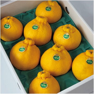 �y�~�̑�����́z�F�{���Y�f�R�|���@8�`12�A�v3kg�ȏ�A��l��