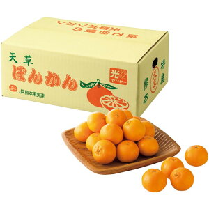 �y�~�̑�����́z�F�{���Y�V���|���J���@M����L�T�C�Y�A�v3�D5kg�ȏ�