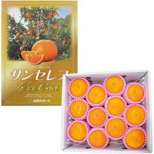 y~̑́z啪Y[[IWETZu 9`15Av1D8kgȏAϔ