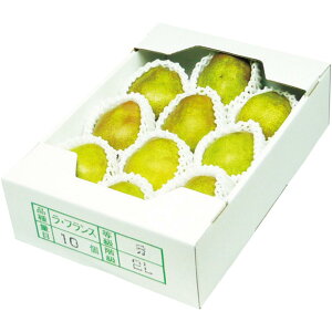 y~̑́zR`YEtX2L10 GiA2LTCYA10Av2D5kgȏ