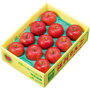 y~̑́z茧YiJA]hjxIʁE]h ۏGiAM`2LTCYA9`11Av2D8kgȏ