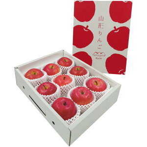 y~̑́zR`YTӂ ۏGiAM`3LTCYA6`9Av2D3kgȏ