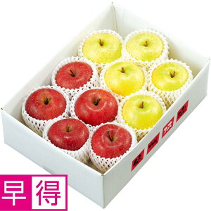 y~̑̑z쌧YiJAȂ̎RmnjTӂ񂲂ƉсieGiAe2L`LTCYAe4`5j