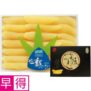 y~̑̑zkC k{YY ̎q ނ
