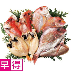 y~̑̑z֓ eŶǂJƊZbg