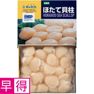 y~̑̑zkCMSCF kCYقĊL