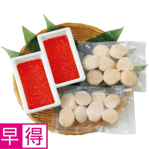 y~̑̑zkCkCY EقăZbg