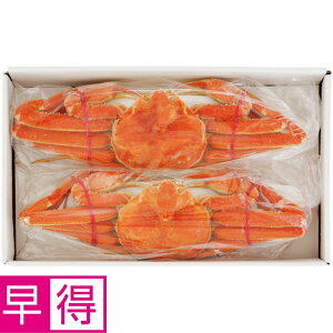 y~̑̑zkCYl䥂ł킢Ɏp2