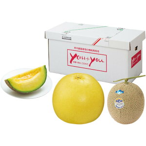 y~̑́zF{YӔMEA[X Zbg