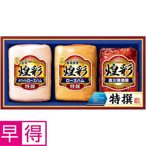 y~̑̑zۑHi ^ԁFAJ-YK