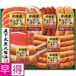 y~̑̑zgft@[kCgft@[ ^ԁFTA-43