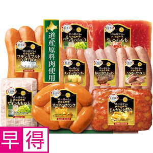 y~̑̑zۑHiuk̍vkC ^ԁFHDS-50