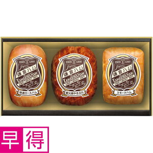 y~̑̑zqnxqn MtgZbg ^ԁFKDS-56A