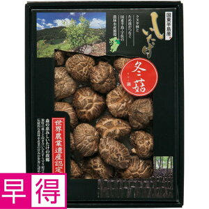 y~̑̑z啪啪Y ǂ񂱒ő ^ԁFMDH-30