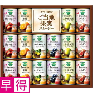 y~̑̑zJSؐSmoothieMtg ^ԁFYSG-30S