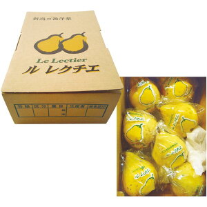 �y�~�̑�����́z�V�����Y�� ���N�`�G�i���ƒ�p�j