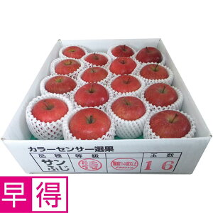 y~̑̑zXYxIʁETӂ4kg
