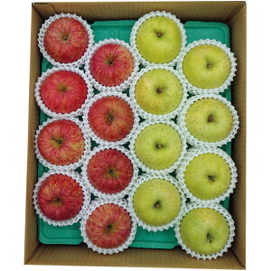 y~̑́zXYTӂ񂲁EB