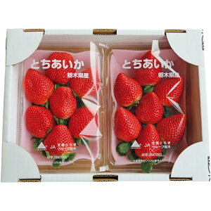 y~̑́zȖ،YiJA܁jƂ