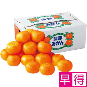 y~̑̑zmYS݂5kg