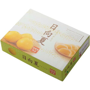 y~̑́z{茧YăMtg