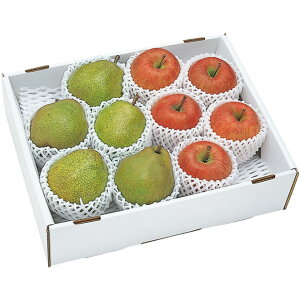 y~̑́zR`YTӂ񂲂ƃEtXl