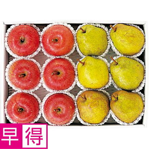 y~̑̑zXYER`YTӂ񂲁R`EtX