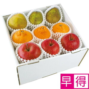 y~̑̑zR`YTӂ񂲂ƃEtXƃfR|iF{YEꌧYEYjl